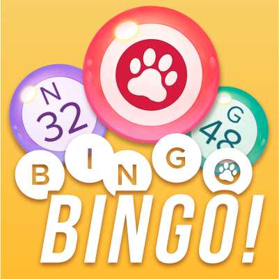 Bingo Bingo game art